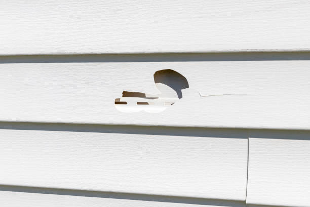 Best Steel Siding Installation  in Clear Lake, WA